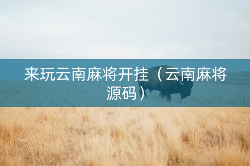 来玩云南麻将开挂（云南麻将源码）