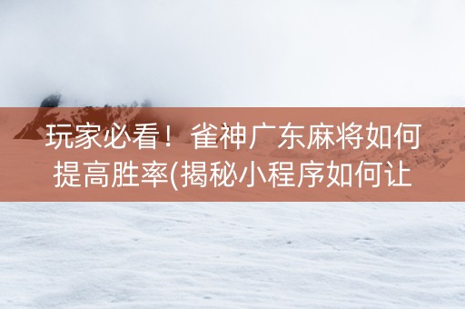 玩家必看！雀神广东麻将如何提高胜率(揭秘小程序如何让牌变好)