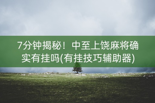 7分钟揭秘！中至上饶麻将确实有挂吗(有挂技巧辅助器)