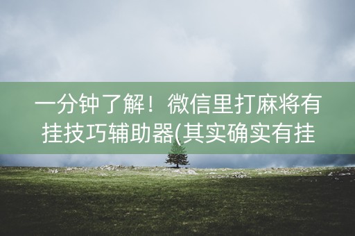 一分钟了解！微信里打麻将有挂技巧辅助器(其实确实有挂)