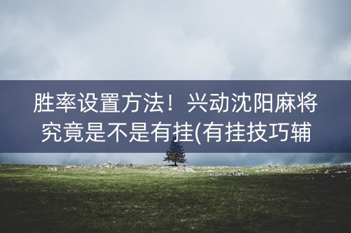 胜率设置方法！兴动沈阳麻将究竟是不是有挂(有挂技巧辅助器)