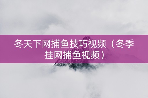 冬天下网捕鱼技巧视频（冬季挂网捕鱼视频）