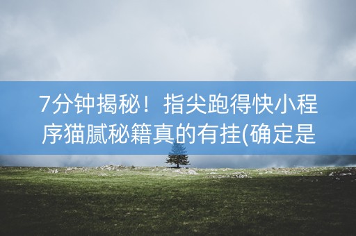 7分钟揭秘！指尖跑得快小程序猫腻秘籍真的有挂(确定是有挂)