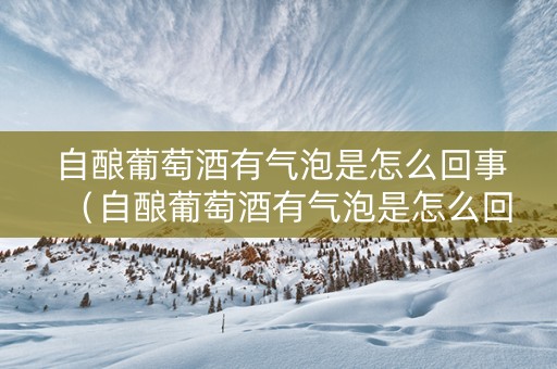 自酿葡萄酒有气泡是怎么回事（自酿葡萄酒有气泡是怎么回事啊）