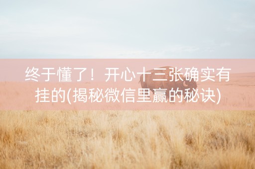 终于懂了！开心十三张确实有挂的(揭秘微信里赢的秘诀)