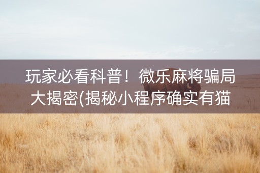 玩家必看科普！微乐麻将骗局大揭密(揭秘小程序确实有猫腻)