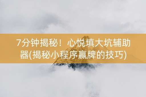 7分钟揭秘！心悦填大坑辅助器(揭秘小程序赢牌的技巧)