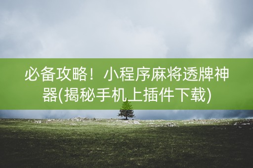 必备攻略！小程序麻将透牌神器(揭秘手机上插件下载)