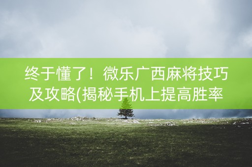 终于懂了！微乐广西麻将技巧及攻略(揭秘手机上提高胜率)