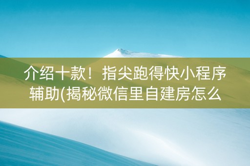 介绍十款！指尖跑得快小程序辅助(揭秘微信里自建房怎么赢)
