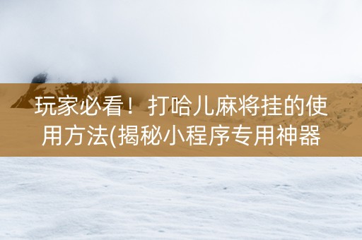 玩家必看！打哈儿麻将挂的使用方法(揭秘小程序专用神器下载)