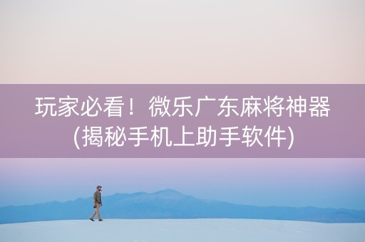 玩家必看！微乐广东麻将神器(揭秘手机上助手软件)