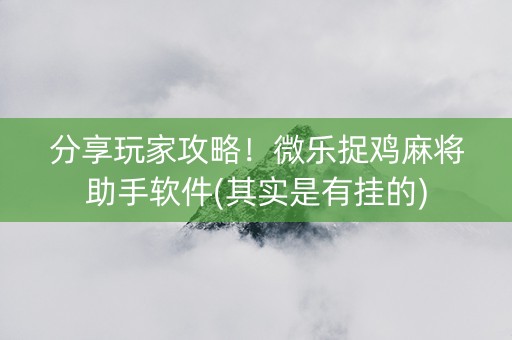 分享玩家攻略！微乐捉鸡麻将助手软件(其实是有挂的)