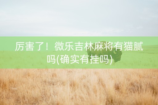 厉害了！微乐吉林麻将有猫腻吗(确实有挂吗)