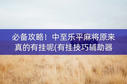 必备攻略！中至乐平麻将原来真的有挂呢(有挂技巧辅助器)
