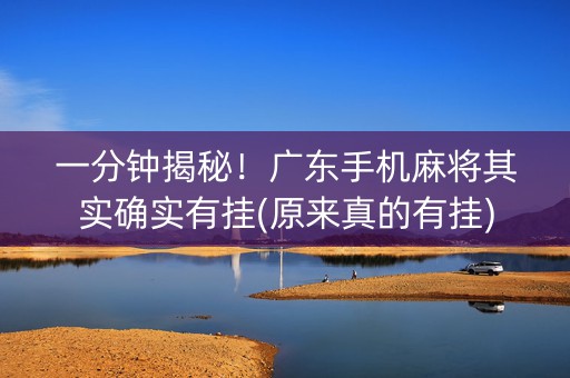 一分钟揭秘！广东手机麻将其实确实有挂(原来真的有挂)
