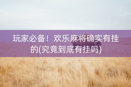 玩家必备！欢乐麻将确实有挂的(究竟到底有挂吗)