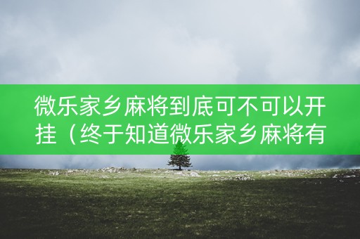 微乐家乡麻将到底可不可以开挂（终于知道微乐家乡麻将有挂吗）
