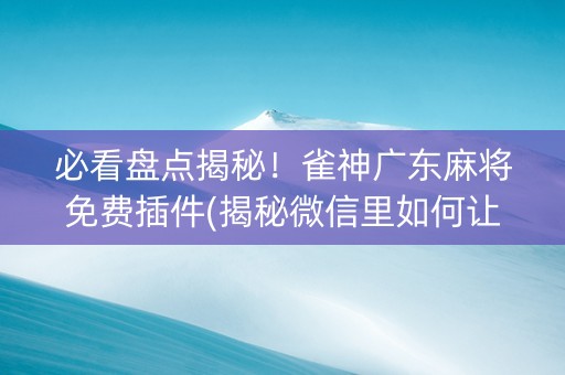 必看盘点揭秘！雀神广东麻将免费插件(揭秘微信里如何让牌变好)
