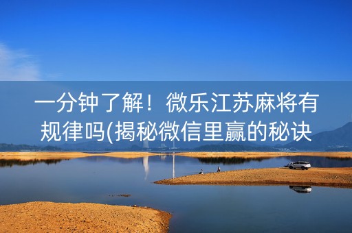 一分钟了解！微乐江苏麻将有规律吗(揭秘微信里赢的秘诀)