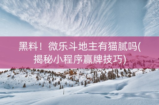 黑料！微乐斗地主有猫腻吗(揭秘小程序赢牌技巧)