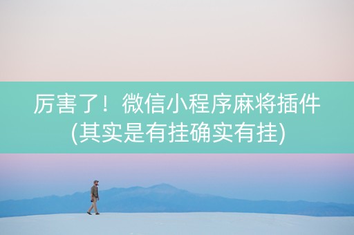 厉害了！微信小程序麻将插件(其实是有挂确实有挂)