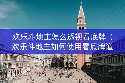 欢乐斗地主怎么透视看底牌（欢乐斗地主如何使用看底牌道具）