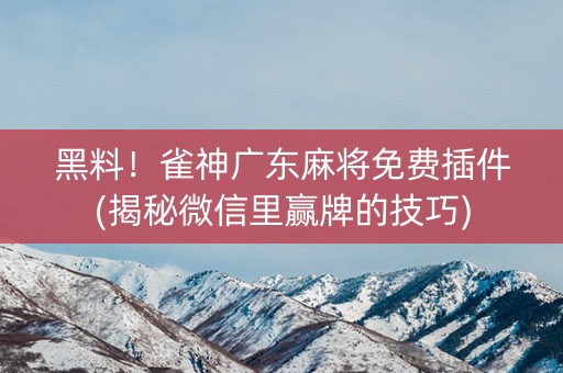 黑料！雀神广东麻将免费插件(揭秘微信里赢牌的技巧)