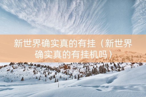 新世界确实真的有挂（新世界确实真的有挂机吗）