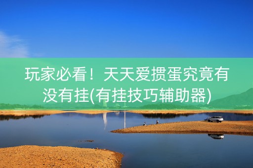 玩家必看！天天爱掼蛋究竟有没有挂(有挂技巧辅助器)