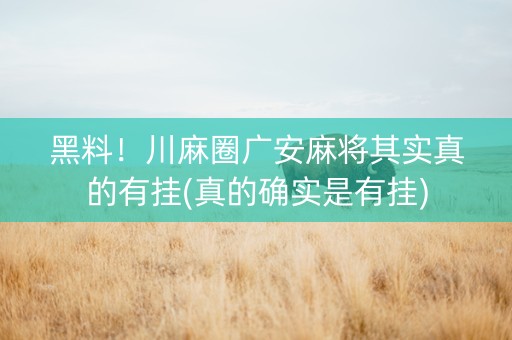 黑料！川麻圈广安麻将其实真的有挂(真的确实是有挂)