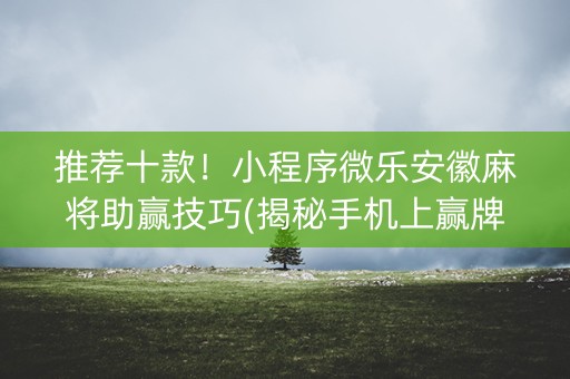 推荐十款！小程序微乐安徽麻将助赢技巧(揭秘手机上赢牌的技巧)