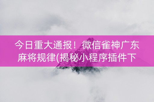 今日重大通报！微信雀神广东麻将规律(揭秘小程序插件下载)