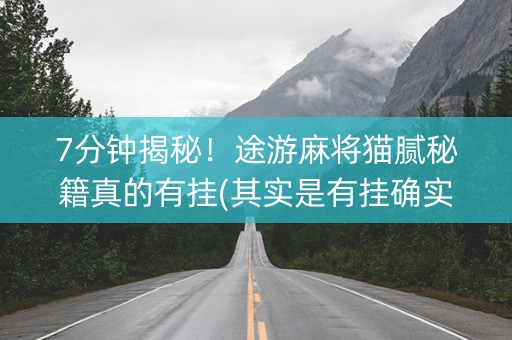 7分钟揭秘！途游麻将猫腻秘籍真的有挂(其实是有挂确实有挂)