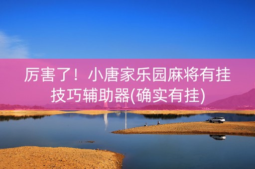 厉害了！小唐家乐园麻将有挂技巧辅助器(确实有挂)