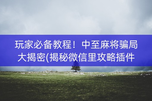 玩家必备教程！中至麻将骗局大揭密(揭秘微信里攻略插件)