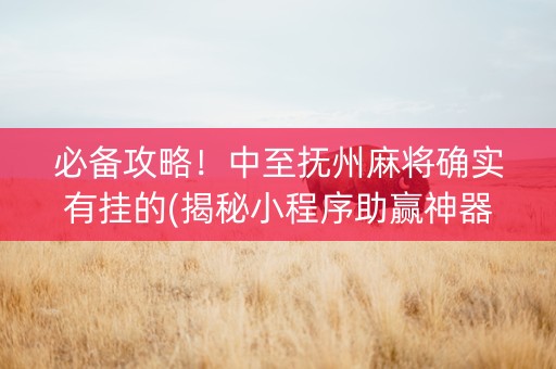必备攻略！中至抚州麻将确实有挂的(揭秘小程序助赢神器购买)
