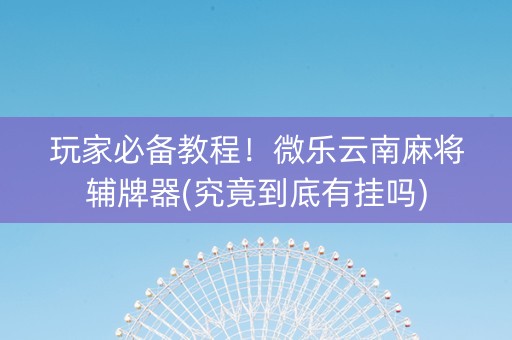 玩家必备教程！微乐云南麻将辅牌器(究竟到底有挂吗)