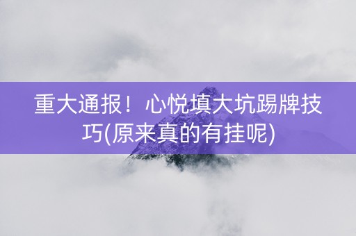 重大通报！心悦填大坑踢牌技巧(原来真的有挂呢)