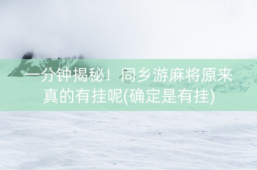 一分钟揭秘！同乡游麻将原来真的有挂呢(确定是有挂)
