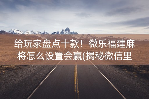 给玩家盘点十款！微乐福建麻将怎么设置会赢(揭秘微信里赢的秘诀)