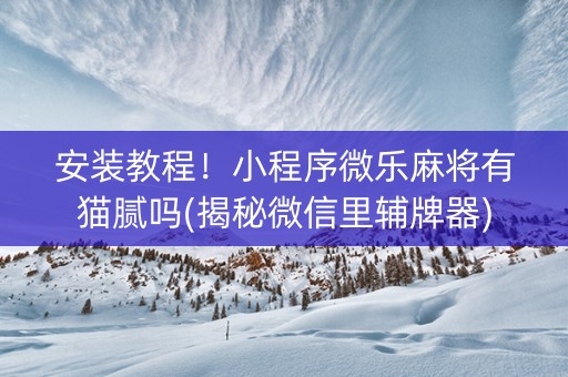 安装教程！小程序微乐麻将有猫腻吗(揭秘微信里辅牌器)