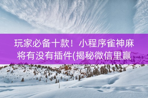 玩家必备十款！小程序雀神麻将有没有插件(揭秘微信里赢的诀窍)