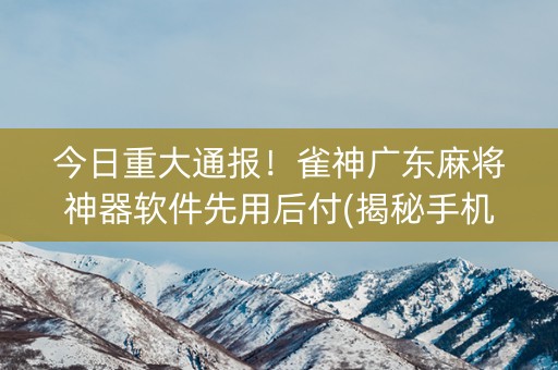 今日重大通报！雀神广东麻将神器软件先用后付(揭秘手机上确实有猫腻)
