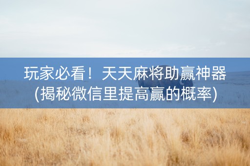 玩家必看！天天麻将助赢神器(揭秘微信里提高赢的概率)