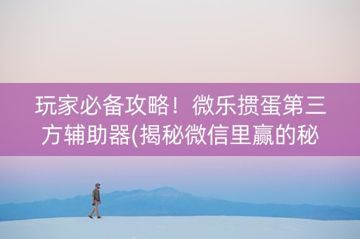 玩家必备攻略！微乐掼蛋第三方辅助器(揭秘微信里赢的秘诀)