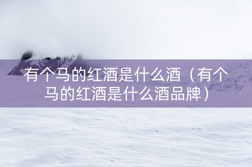 有个马的红酒是什么酒（有个马的红酒是什么酒品牌）