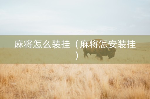 麻将怎么装挂（麻将怎安装挂）