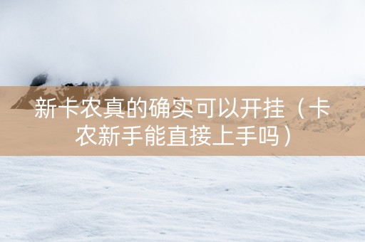 新卡农真的确实可以开挂（卡农新手能直接上手吗）