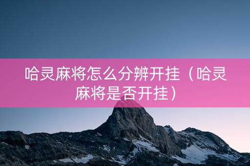 哈灵麻将怎么分辨开挂（哈灵麻将是否开挂）